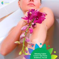 Relaxing Indian Luxury Spa Tunes Ambience, Vol. 10