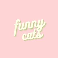 Funny Cats