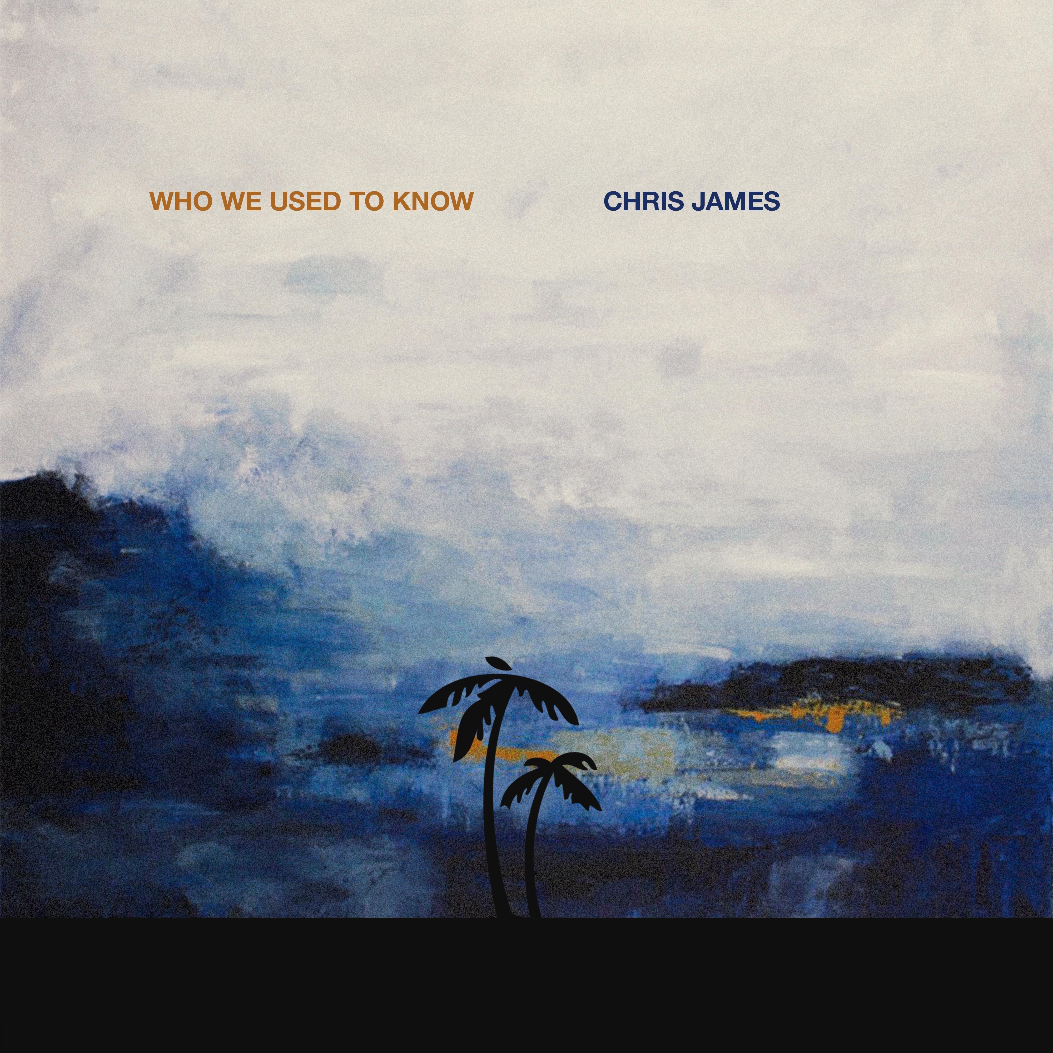 Who We Used to Know_Chris James_Who We Used To Know | 在线播放_Who We Used to Know歌词_Who We Used to Know下载 | 网易云音乐