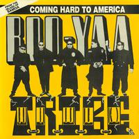 COMING HARD TO AMERICA (12