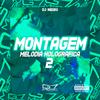 DJ REDZO - Montagem Melodia Holográfica 2