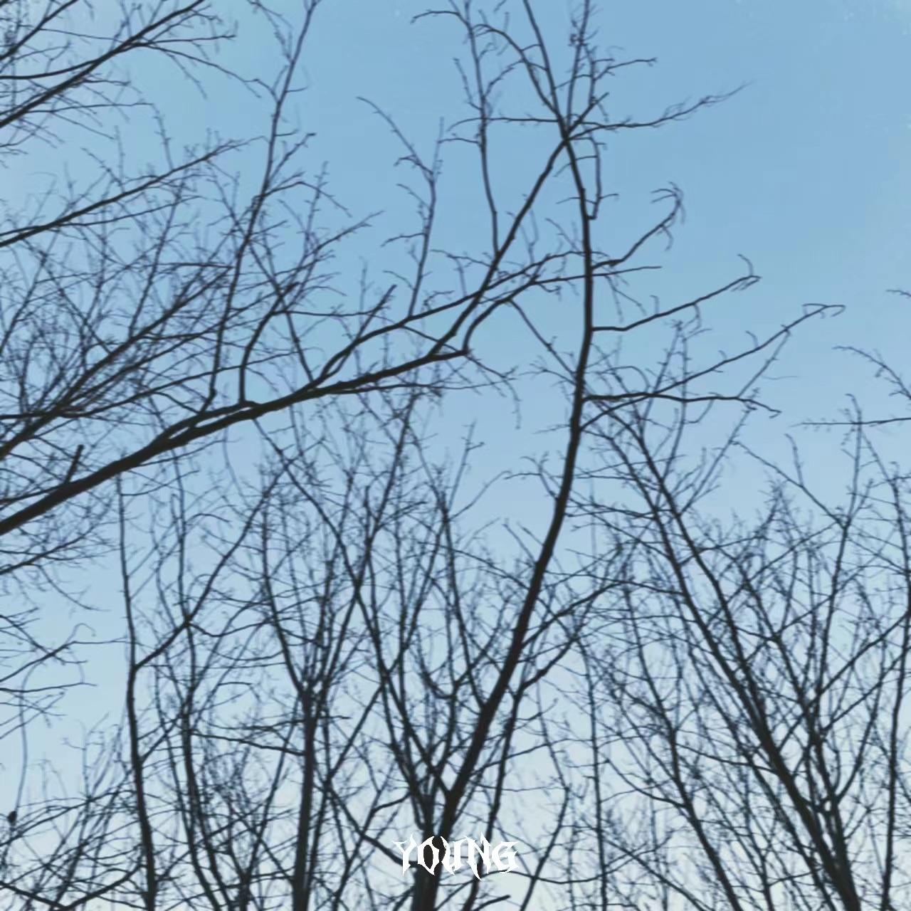 把泪滴入骨里_雷骁阳_把泪滴入骨里 | 在线播放_把泪滴入骨里歌词_把泪滴入骨里下载 | 网易云音乐