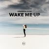 Struzhkin - Wake Me Up