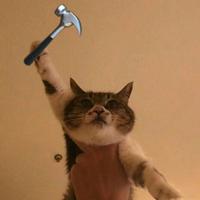 Mr.跳舞的猫咪资料,Mr.跳舞的猫咪最新歌曲,Mr.跳舞的猫咪MV视频,Mr.跳舞的猫咪音乐专辑,Mr.跳舞的猫咪好听的歌