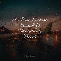 50 Pure Nature Sounds & Tranquility Pieces