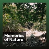 Memories of Nature