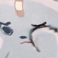 潮湿泪资料,潮湿泪最新歌曲,潮湿泪MV视频,潮湿泪音乐专辑,潮湿泪好听的歌