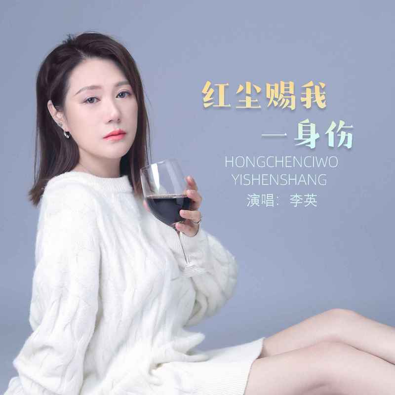 红尘赐我一身伤 (DJ版伴奏)封面