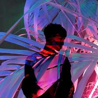 Rexx1004