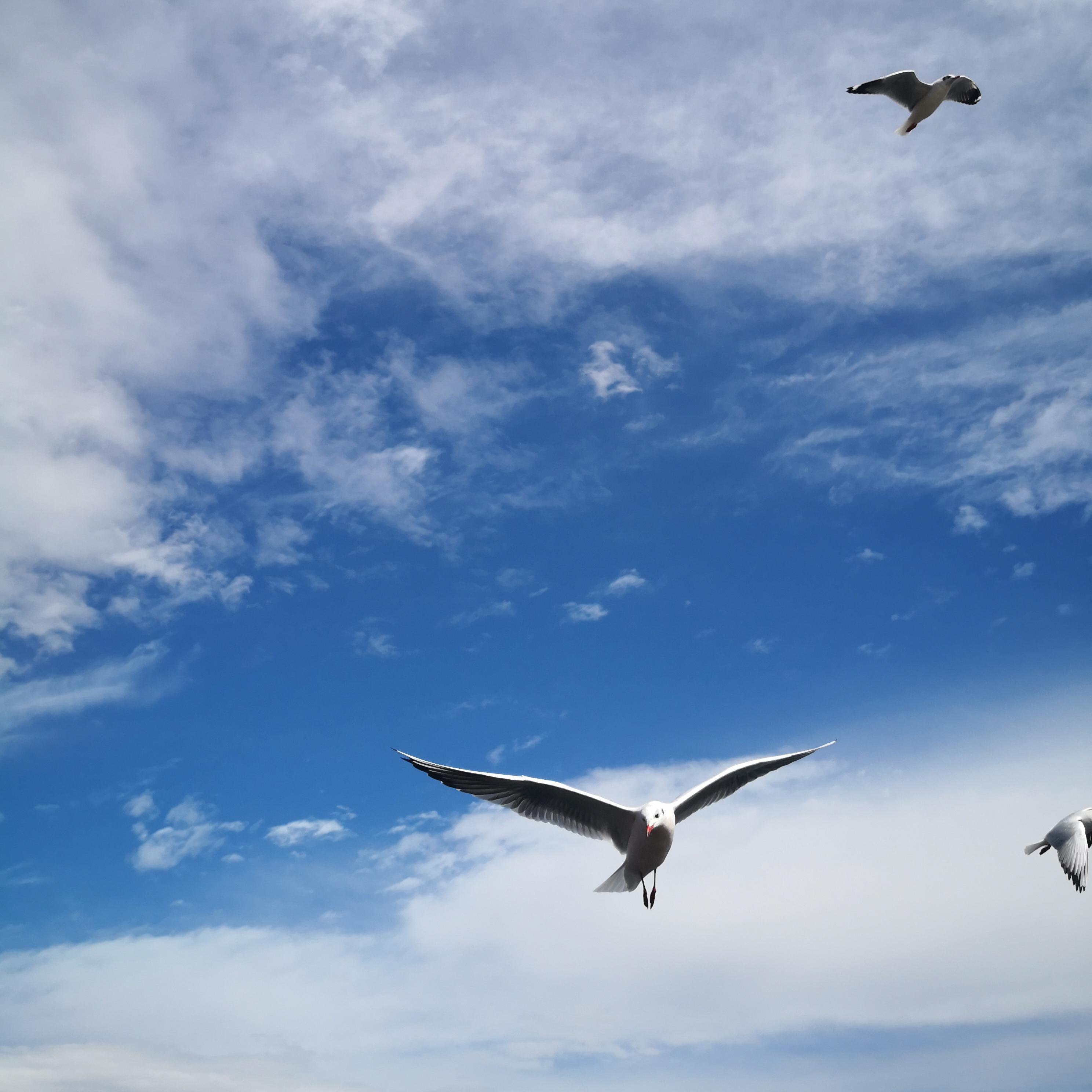 时间都去哪儿了