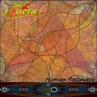 Human Ressource