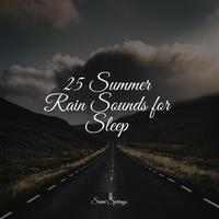 25 Summer Rain Sounds for Sleep