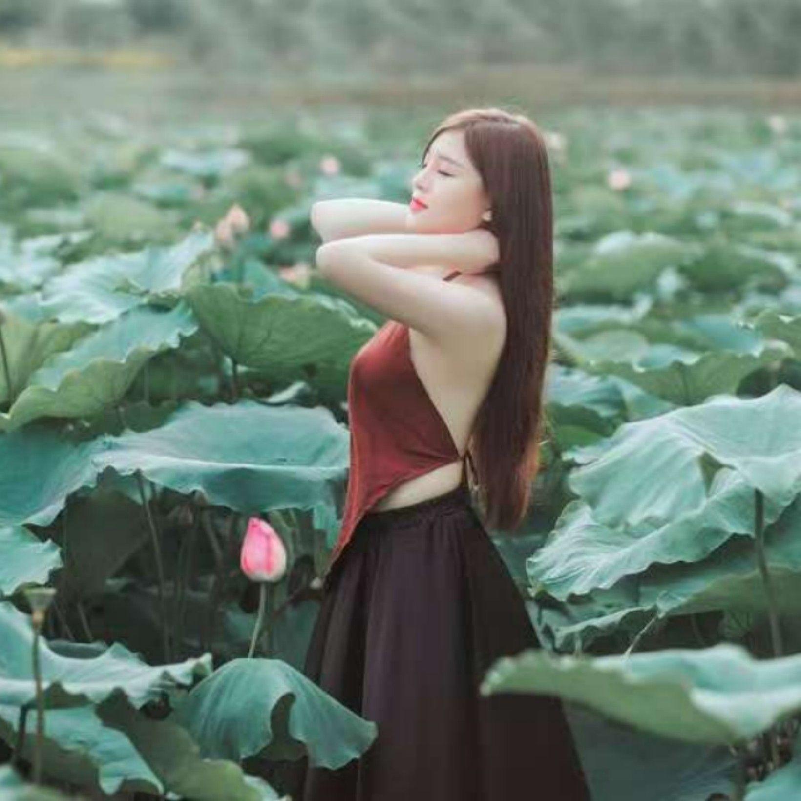 我期待的不是风封面