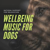 Wellbeing Music for Dogs - Natural Support for Relaxation