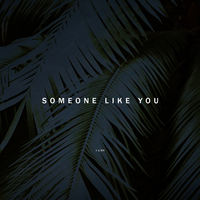 Someone Like You