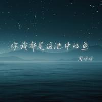你我都是这池中的鱼