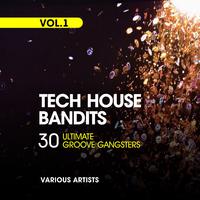 Tech House Bandits, Vol. 1 (30 Ultimate Groove Gangsters)