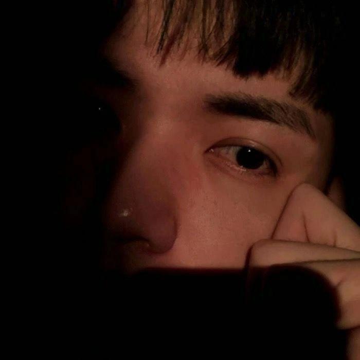 致你：所爱封面