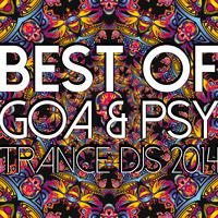 Best of Goa & Psy Trance Djs 2014