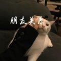 别再来梦里 (DJ版) - DJ可可封面