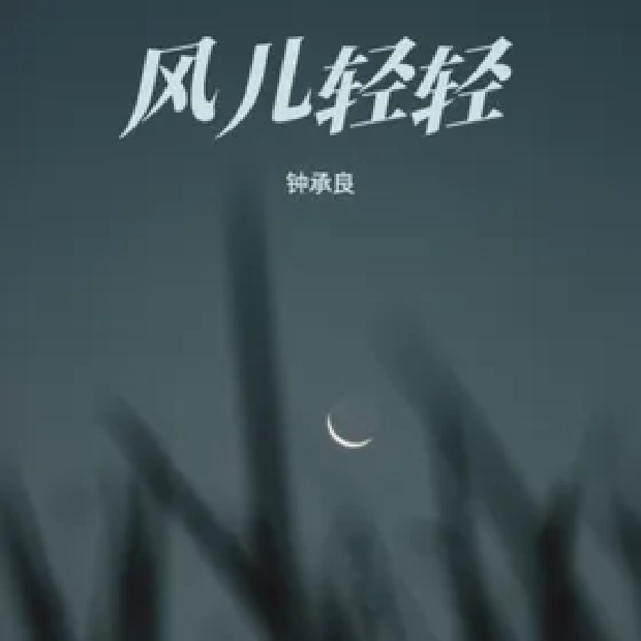 风儿轻轻封面