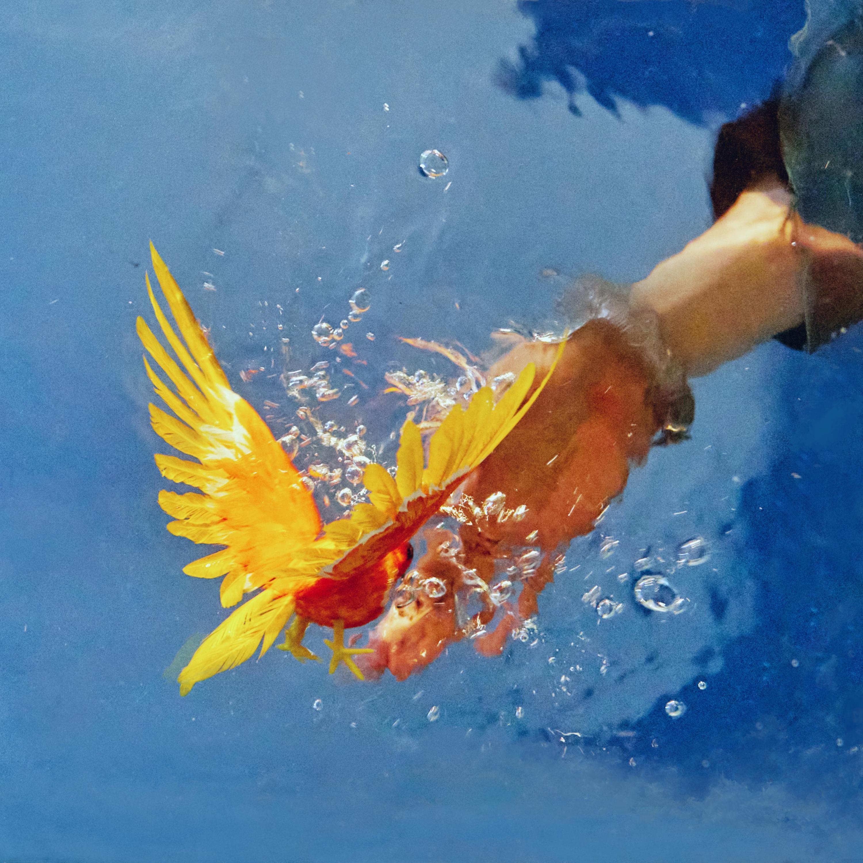 水纹波_幽默饼 HumorBeing_落水人给答案 | 在线播放_水纹波歌词_水纹波下载 | 网易云音乐