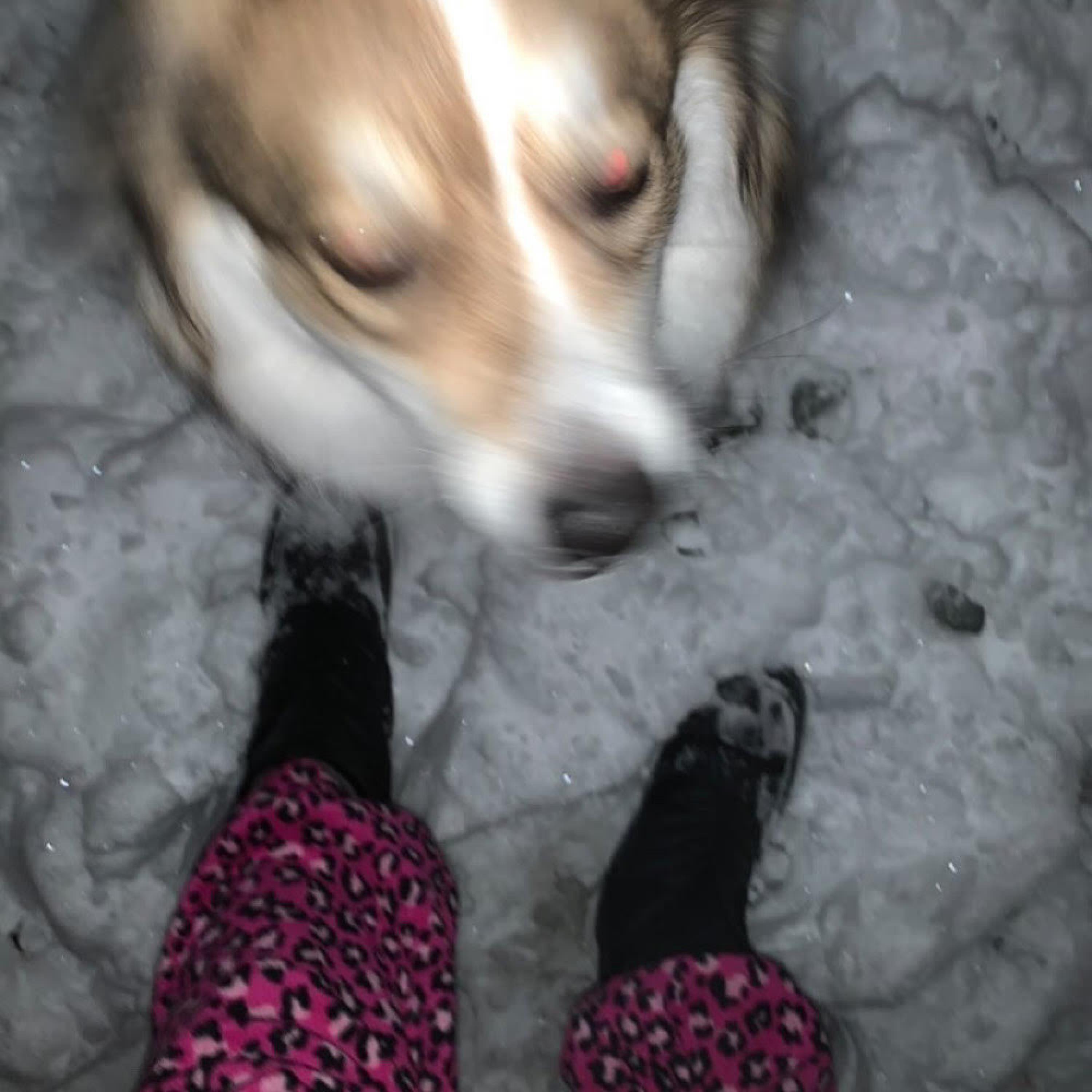 lying ass ***** (feat. avah)