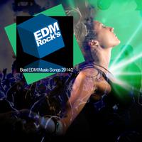 EDM Rock's Best EDM Music Songs 2014 - 2