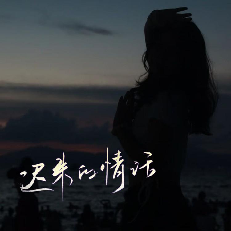 迟来的情话 (DJ豪大大版伴奏)封面