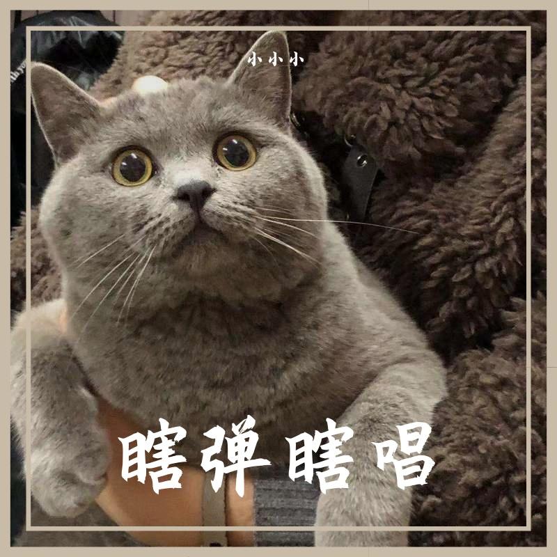 缺(吉他版)封面