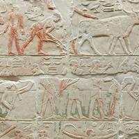 陆仁甲资料,陆仁甲最新歌曲,陆仁甲MV视频,陆仁甲音乐专辑,陆仁甲好听的歌