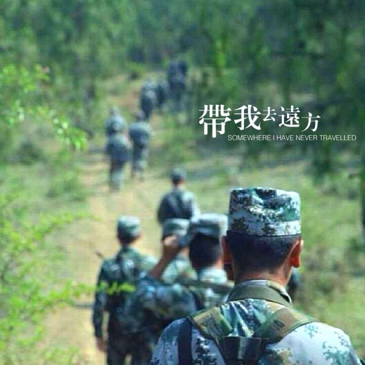 军中绿花 - 爱唱军歌的丫头封面
