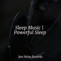 Sleep Music | Powerful Sleep