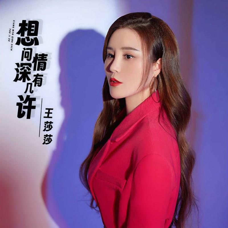 想问情深有几许 (伴奏)封面