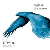 The Eagle and the Ocean