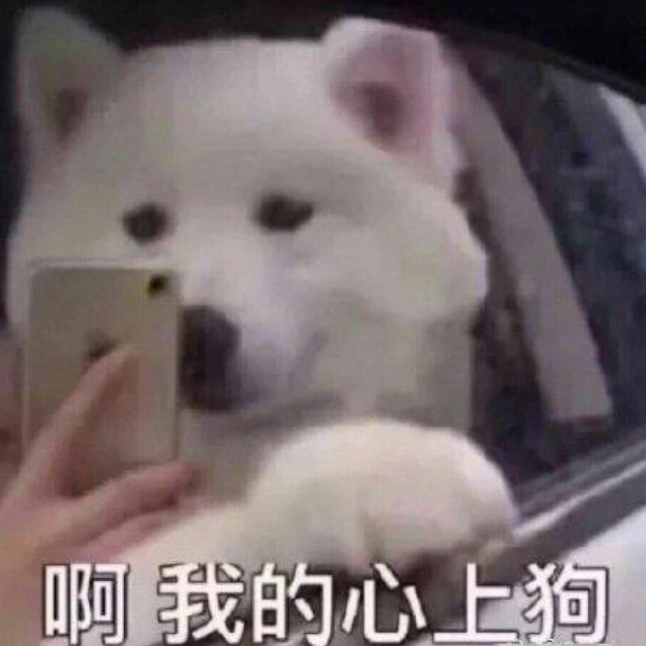 爱情慢慢来封面
