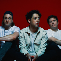 The Wombats