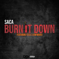 Burn It Down (feat. T.Y.E.E. & mfwaves)