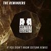 The Reminders - If You Didn't Know (DeFunk Remix)