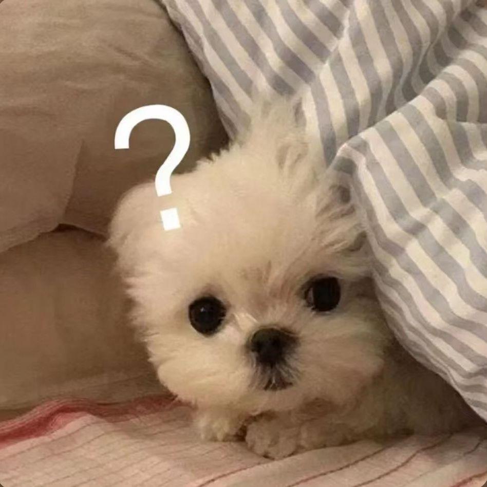 忘了牵手封面