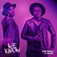 We Know (Mix 2) [feat. Mr. Mo]