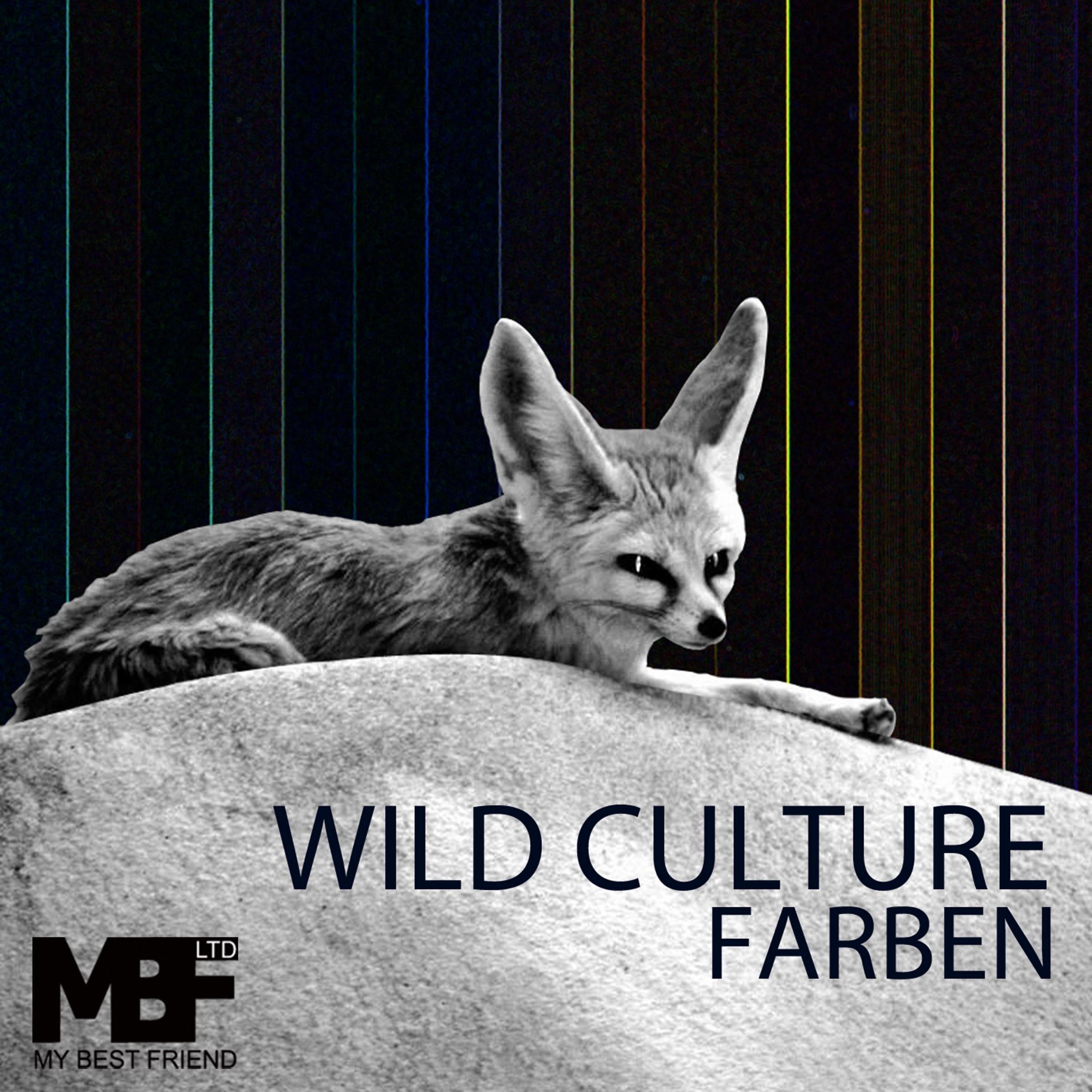 Farben (Original Mix)
