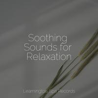 Soothing Sounds for Relaxation