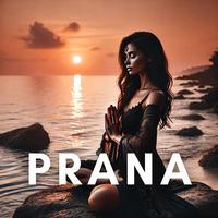 The Path of Prana (Flowing Meditation, Deeper Resonance with Spiritual Energy)