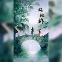 双抛桥