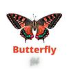 Liláh - Butterfly