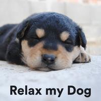 Relax My Dog