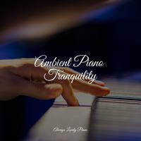 50 Piano Songs for Complete Stress Relief and Peaceful Ambience