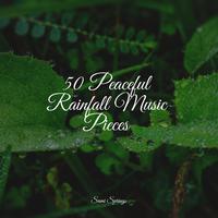 50 Peaceful Rainfall Music Pieces