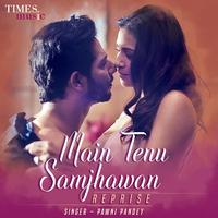 Main Tenu Samjhawan Reprise - Single